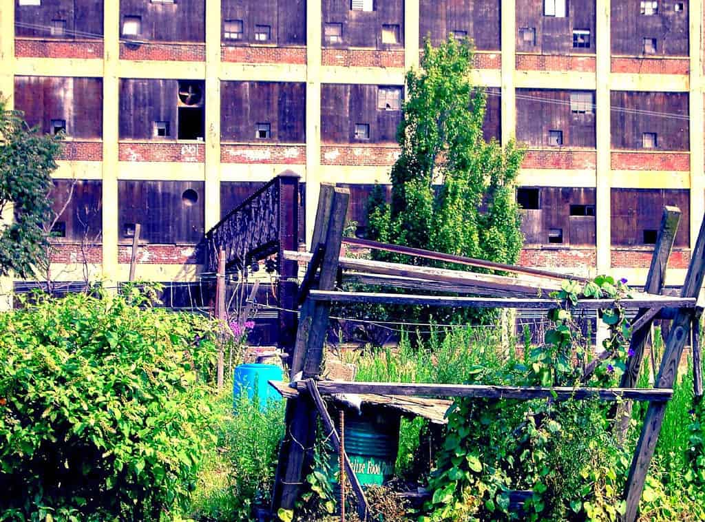 "Post-Industrial Garden" | North Philadelphia | Kyuboem Lee